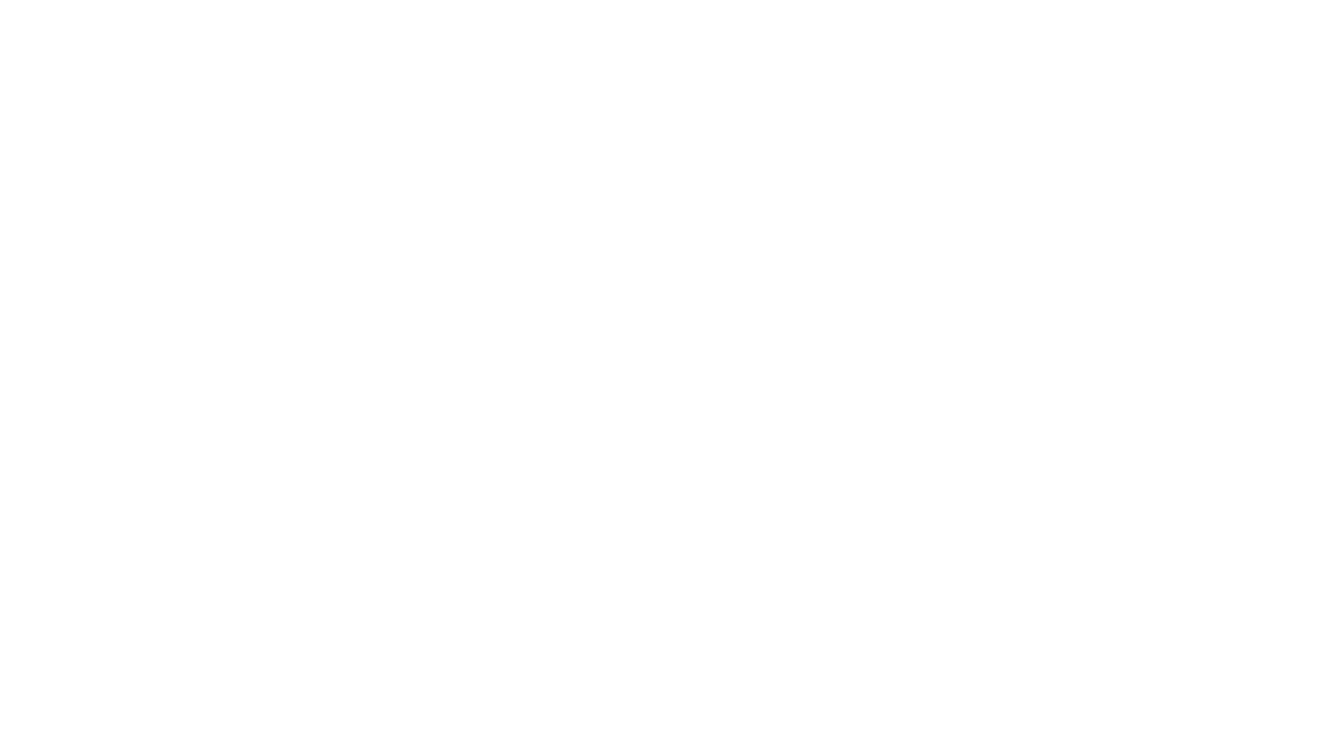 Logo Faros